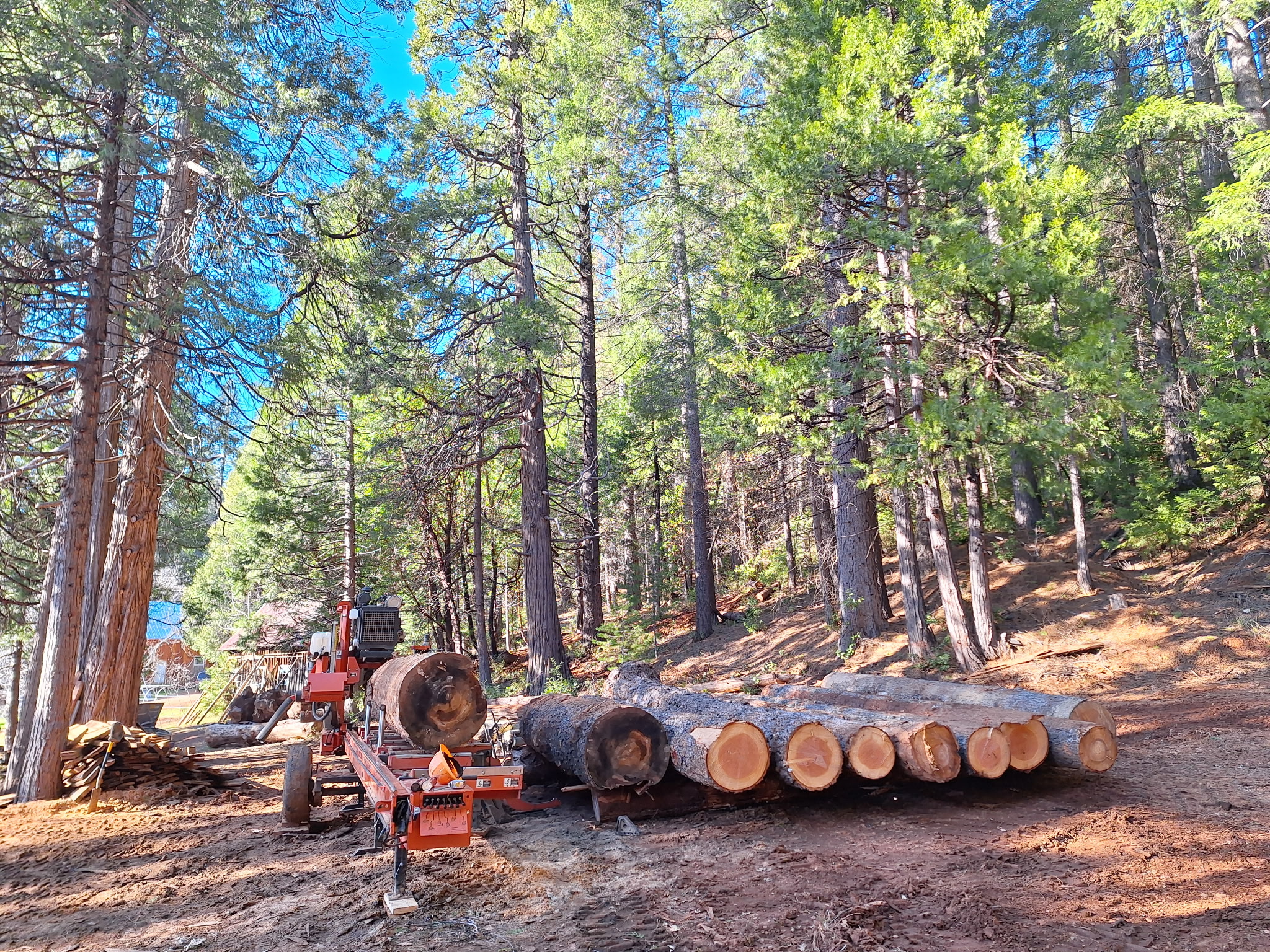 Sawmill equipment set among trees near the yard.