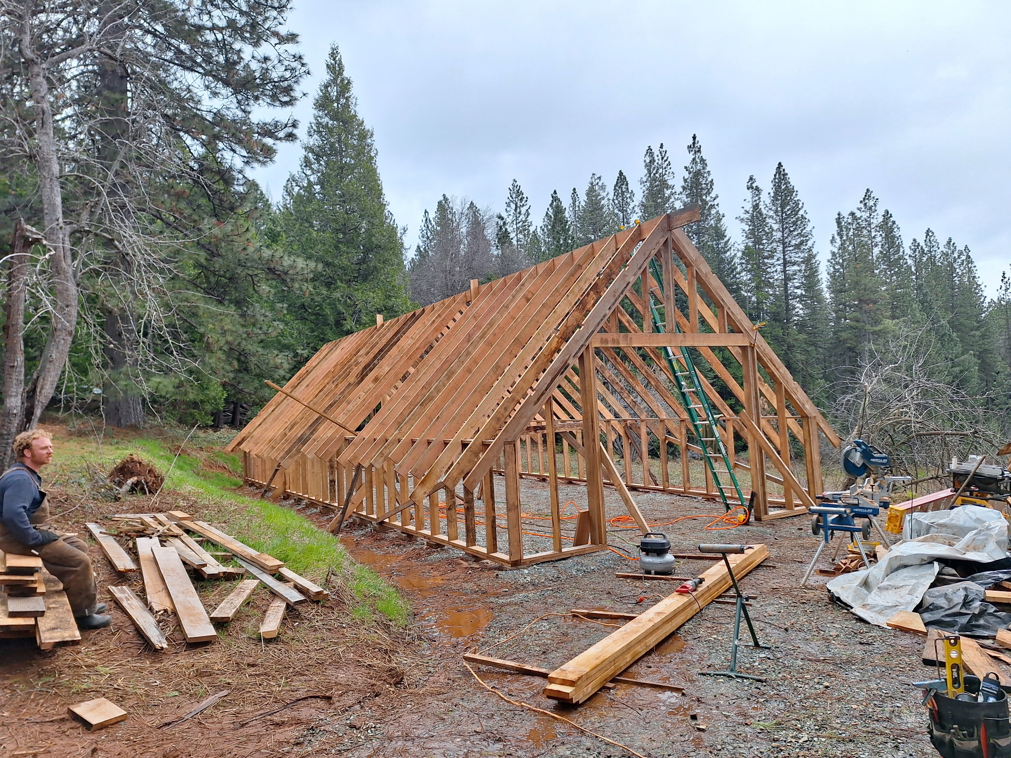 Stacks of lumber and working yard inventory surrounded by trees.