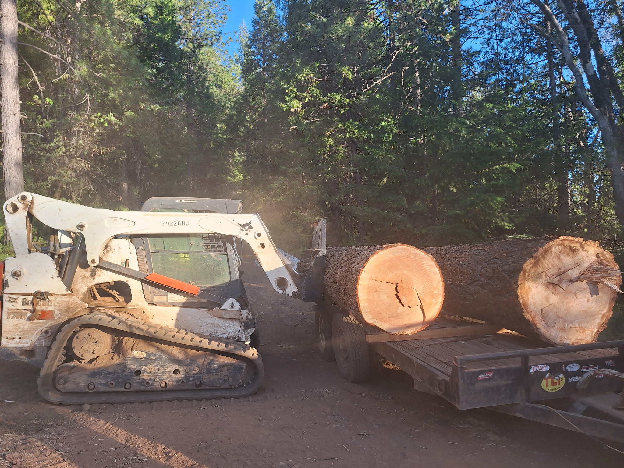 Sierra Custom Lumber gallery photo.